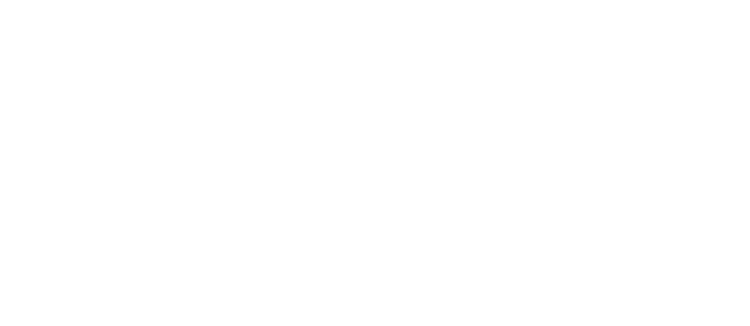 bluenetworks-sa.com